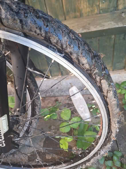 Photo of free Men's Bike 22.5" (HA3 Kingsbury/Kenton) #2
