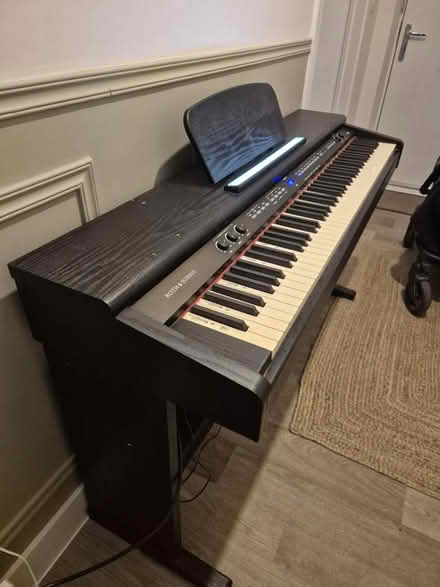 Photo of free Roth & Junius electric piano (BS7) #1