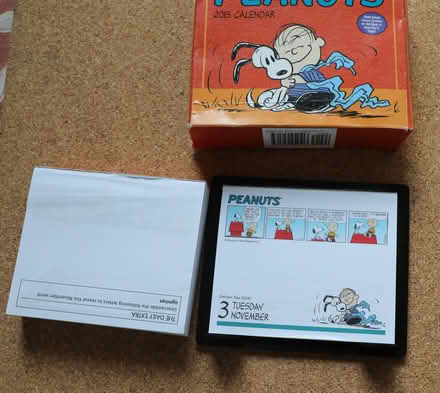 Photo of free Peanuts Charlie Brown Calendar (Penzance TR18) #2