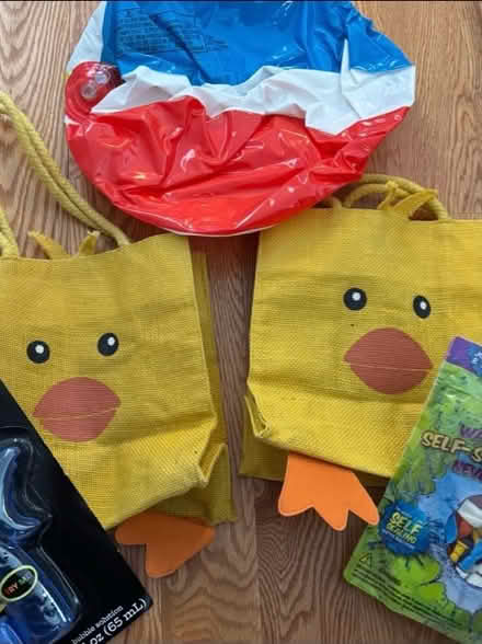Photo of free 2 Chick woven bags, and bunny cup (West Medford) #1