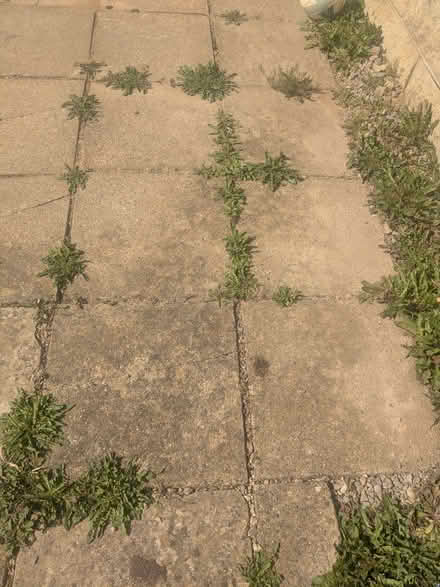 Photo of free 45cm2 concrete slabs (Winsley BA15) #1