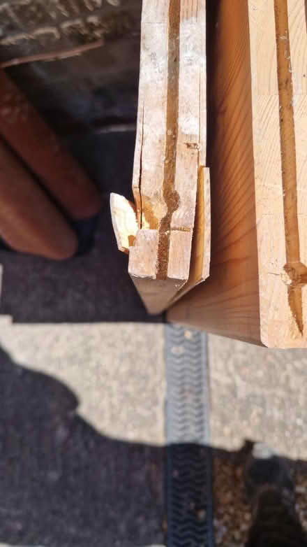 Photo of free Tall Wood Shelves (belper DE56) #2