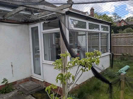 Photo of free Conservatory (needs deconstructing) (Headington) #1