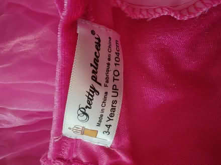 Photo of free Pretty Pink Princess Dress (Tulse Hill) #3