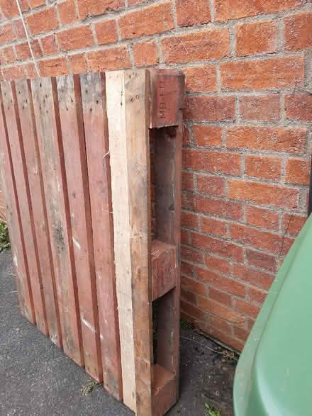 Photo of free Pallet (Abingdon OX14) #2