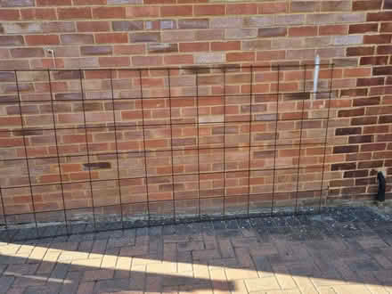 Photo of free seven metal/mesh fences (West Byfleet KT15) #2
