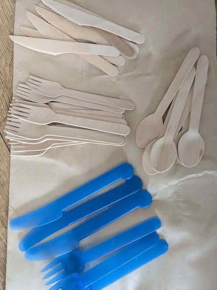 Photo of free Picnic cutlery (Hove Green BN3) #1