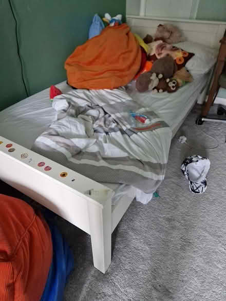 Photo of free Single bed (Yapton) #1