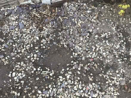 Photo of free Gravel (Catton NR6) #1