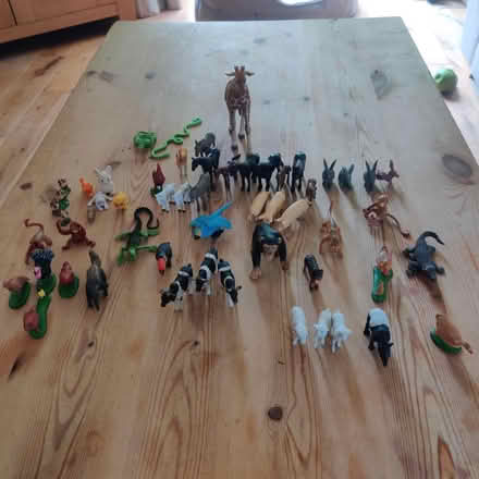 Photo of free Kids 50+ plastic animals (Knighton LE2) #1