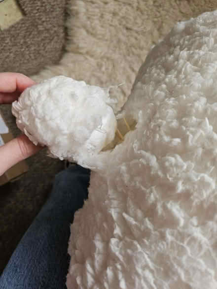 Photo of free Polar bear decoration large (OX16 banbury) #2