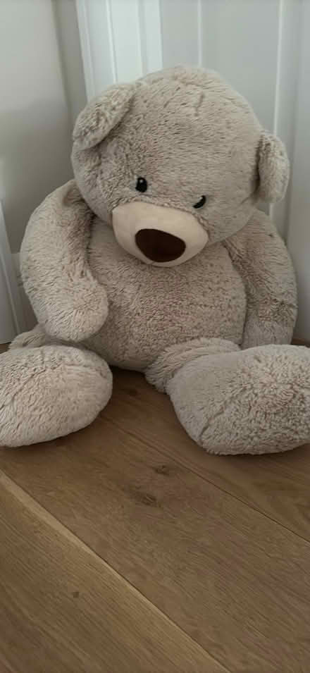 Photo of free Giant soft bear 58cm tall sat down (Southfields SW19) #1