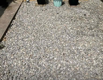 Photo of free Garden stones (SG1 Stevenage) #2