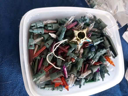 Photo of free Tree lights bulbs (Hanworth TW13) #2