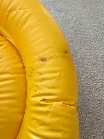 Photo of free Baby sit-in floatie (Mill Creek South) #3