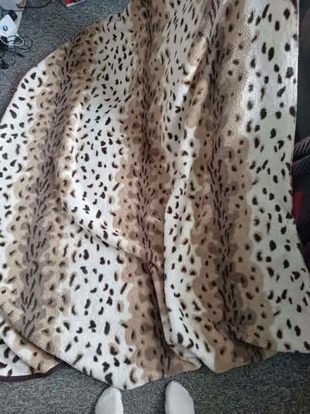 Photo of free Dog blanket (Grangetown SR2) #1