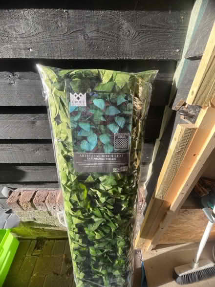 Photo of free Artificial birch trellis x 2 (IP7) #1