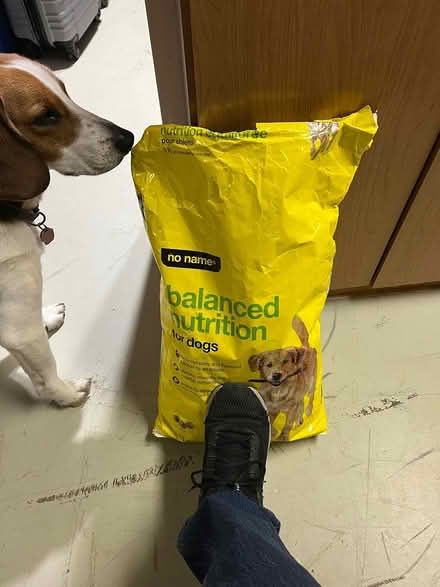 Photo of free Dog food (Kanata Lakes/Beaverbrook) #1