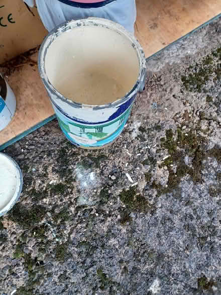 Photo of free 2 part used Magnolia masonry paint tubs (Speedwell BS5) #3