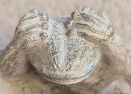Photo of free Stone Frog Sculpture Candle Holder (1800 block of D ST NE) #4
