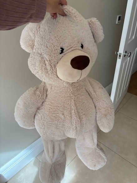 Photo of free Giant soft bear 58cm tall sat down (Southfields SW19) #3
