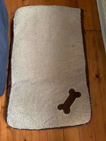 Photo of free Dog bed (Dunfermline KY12) #1