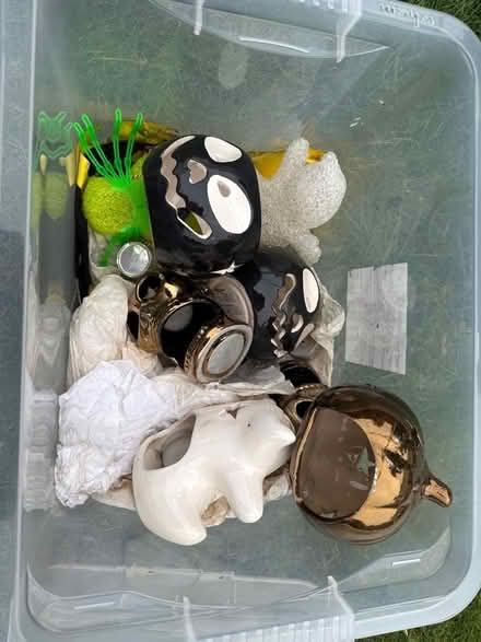 Photo of free Halloween items (Ware SG12) #1
