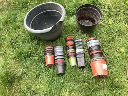 Photo of free Plant pots (Nether Edge S7) #1
