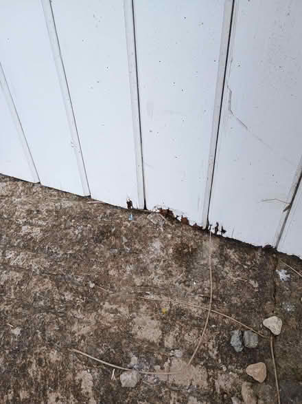 Photo of free painted wooden door (Owlbury SY9) #3