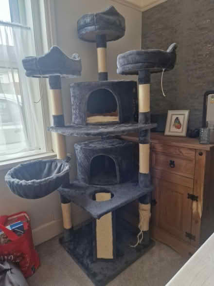 Photo of free Large cat tree (Winton) #1