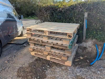 Photo of free Pallets (Lower Buckland SO41) #1