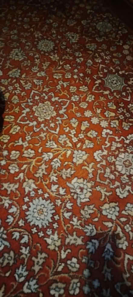 Photo of free Red Axminster carpet (DE24) #1