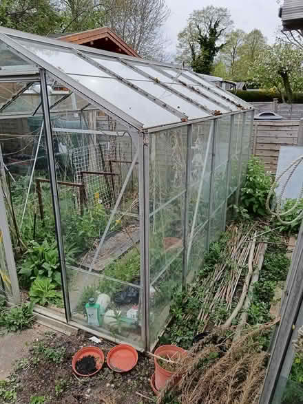 Photo of free Two greenhouses (Hitchin (SG5)) #2
