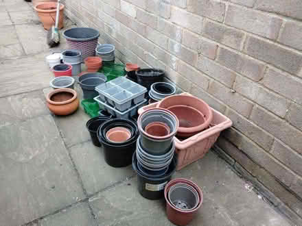Photo of free Pots (CT10) #1