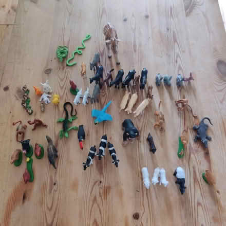 Photo of free Kids 50+ plastic animals (Knighton LE2) #2