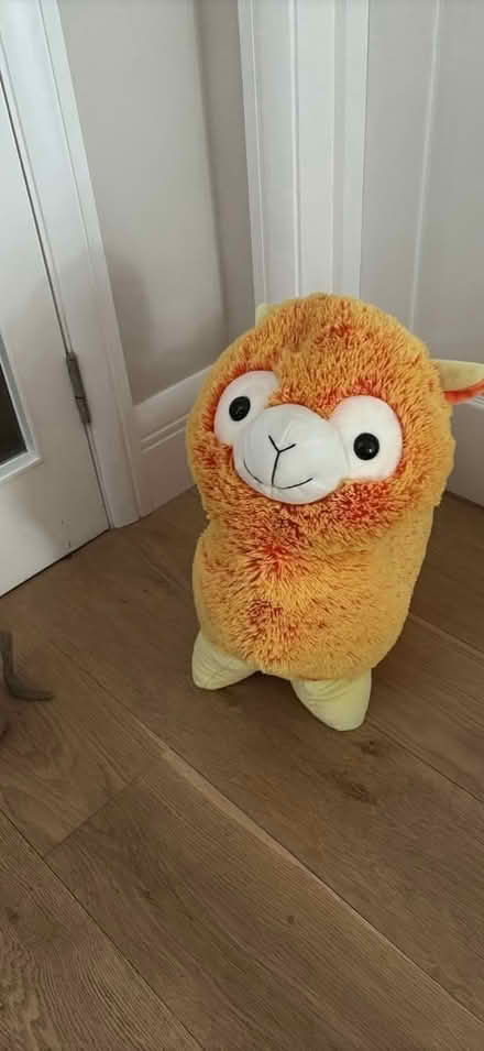 Photo of free Large cuddly llama c 50cm tall (Southfields SW19) #2
