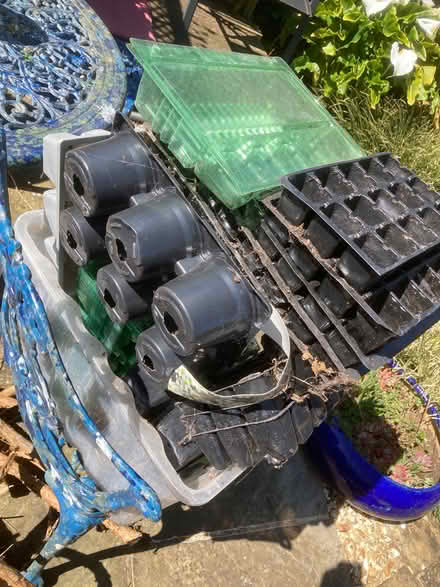 Photo of free Plant containers big black bag full of mixed shapes and size (Sandown PO36) #1