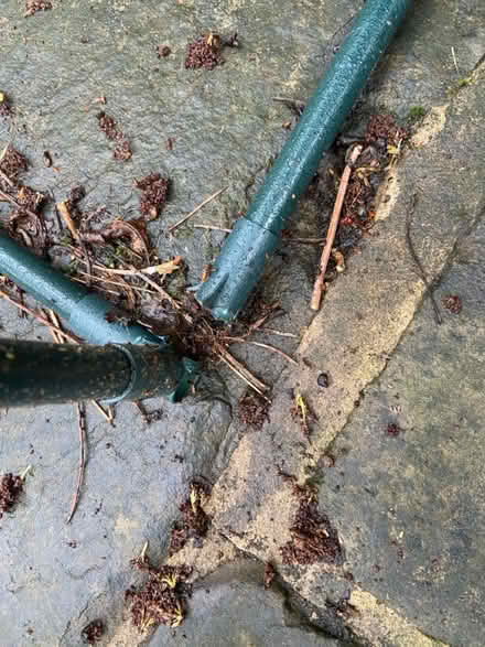 Photo of free Growhouse frame (S8 Beauchief) #1