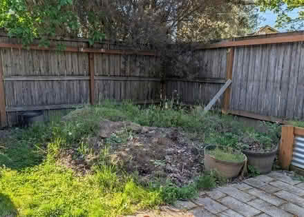 Photo of free fill dirt, 5-6 cubic yards (downtown Milwaukie) #1