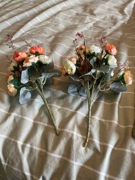 Photo of free Plastic roses (Hillcliffe WA4) #2