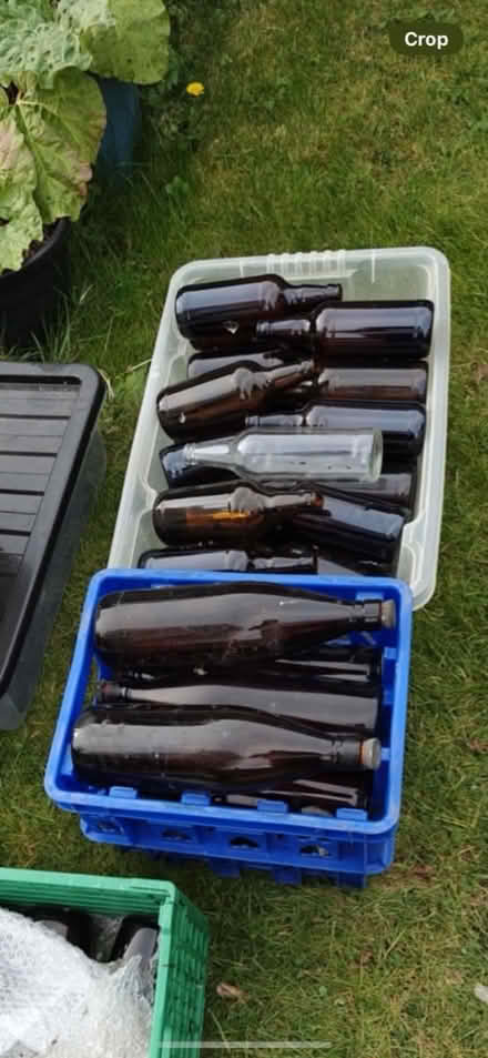 Photo of free Amber glass bottles (Buckland SN7) #1