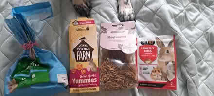 Photo of free Gerbils food and treats (RG302) #1