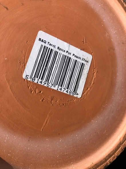 Photo of free Indoor plant pot (Parson's Heath CO4) #2