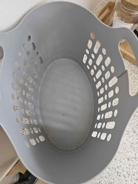 Photo of free Plastic Basket (East Herringthorpe S65) #3