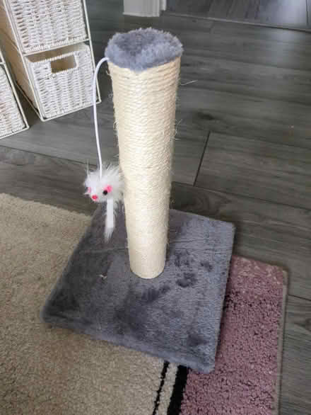 Photo of free Kitten scratching post (OX4) #1