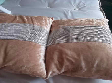 Photo of free Two sofa cushions (South ockendon) #3