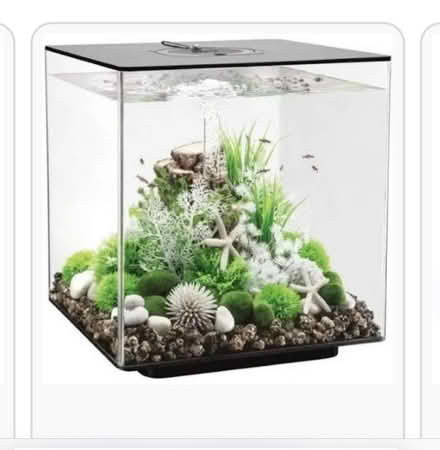 Photo of free fishtank (St brides major CF32) #2