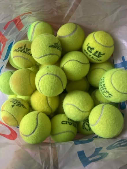 Photo of free Bag of used tennis balls (Queens Park CH3) #1