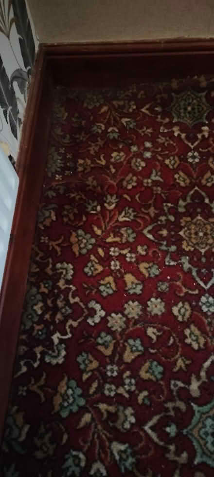 Photo of free Red Axminster carpet (DE24) #2