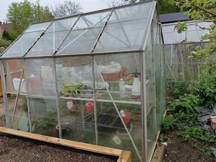Photo of free Two greenhouses (Hitchin (SG5)) #4